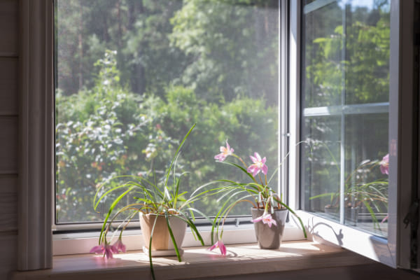 Insektenschutz Fenster günstig online kaufen