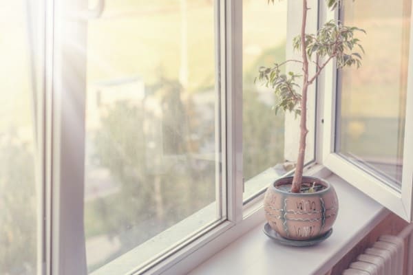 Geöffnetes Plastikfenster mit Blume zum offen halten Geöffnetes Plastikfenster mit Blume zum offen halten