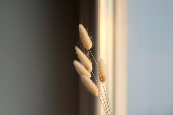 Vorteile Fenster cremeweiß