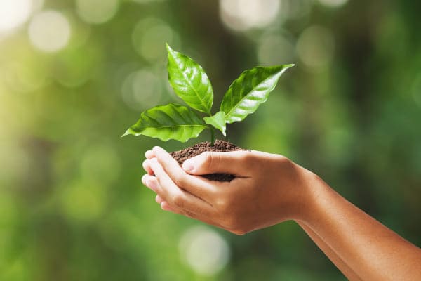 Geringe Wärmeabstrahlung sorgt für Klimaschutz