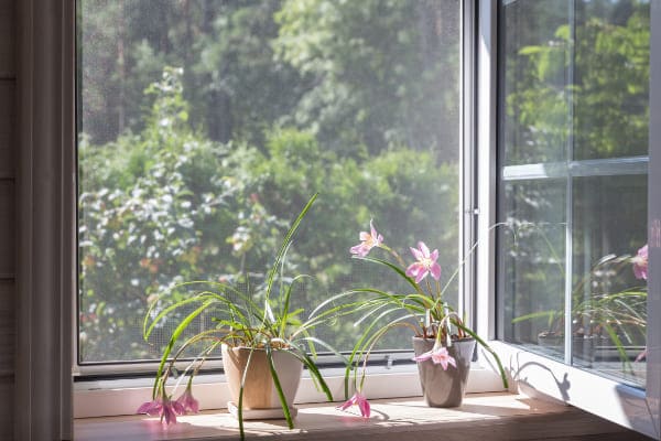 Insektenschutz an Vorbaurollladen Insektenschutz an Vorbaurollladen