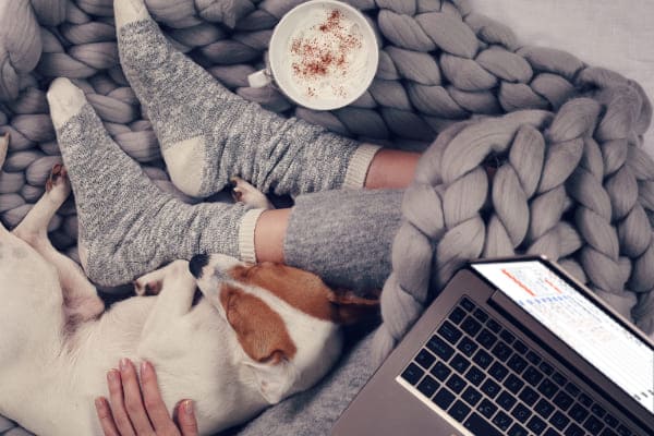 Fenster cremeweiss wird profitiert