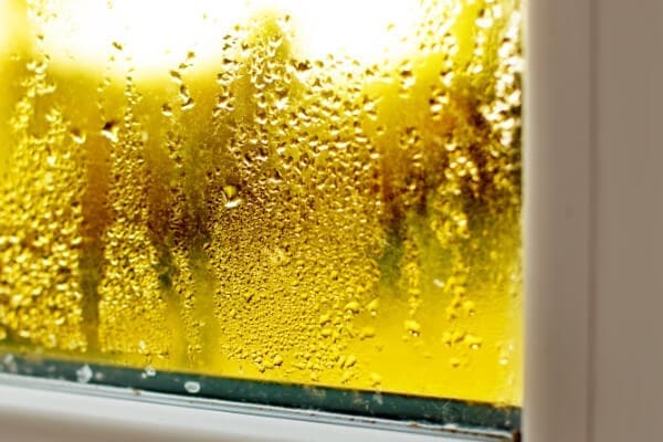 Schimmel bei Dreifachglas Schimmel bei Dreifachglas