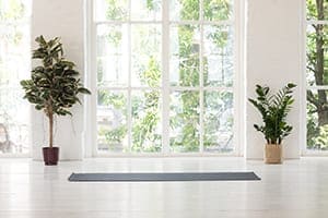 Modernes Wohnzimmer mit Bodentiefen Sprossenfenstern.
