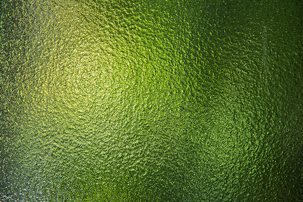 Ornamentglas bei einflügeligen Fenstern