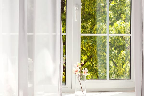 Fenster mit Gartenblick und kleiner Blume auf der Fensterbank. Fenster mit Gartenblick und kleiner Blume auf der Fensterbank.