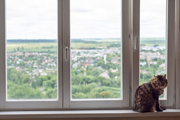 Dreiflügelfenster Katze sitzt auf Fensterbank rechts.