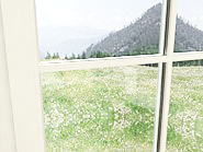 Fenstersprossen: Aufgeklebte Sprossen 27mm weiß