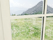 Fenstersprossen: Aufgeklebte Sprossen 35mm weiß