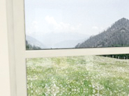 Fenstersprossen: Glasteilende Sprosse Kämpfersprosse 68mm weiß