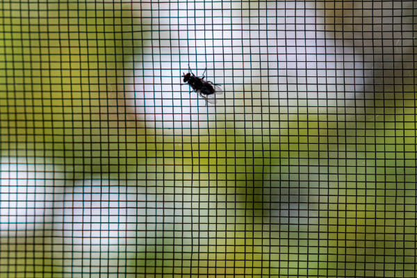 Insektenschutzgitter als vielseitiger Schutz vor Insekten