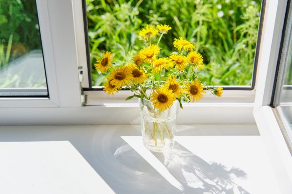 Fenster 100 x 120 cm vielseitig einsetzbar